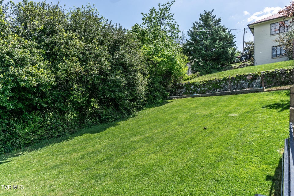 Photo #51: 205 Sevier Avenue