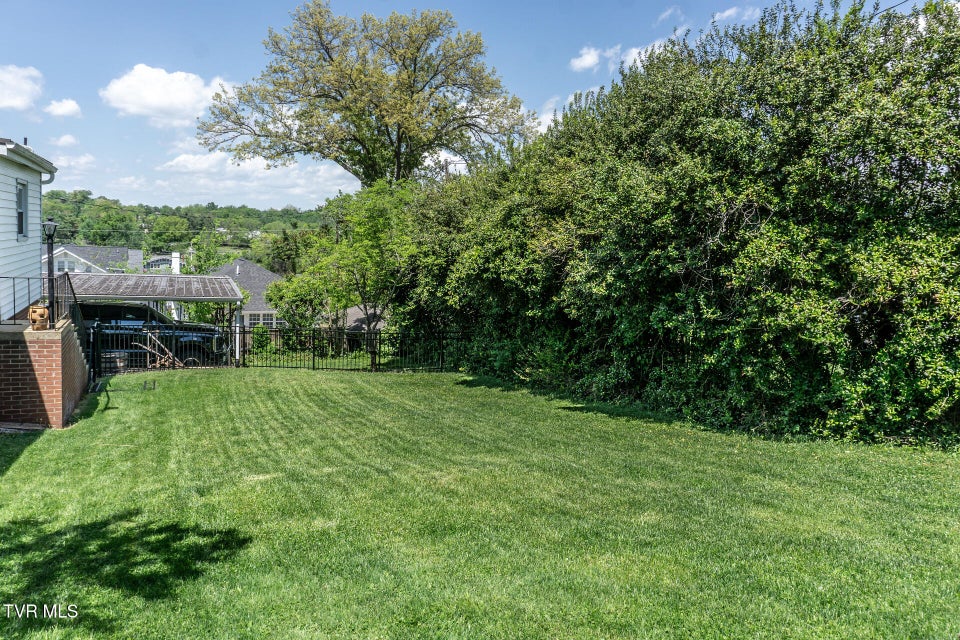 Photo #45: 205 Sevier Avenue