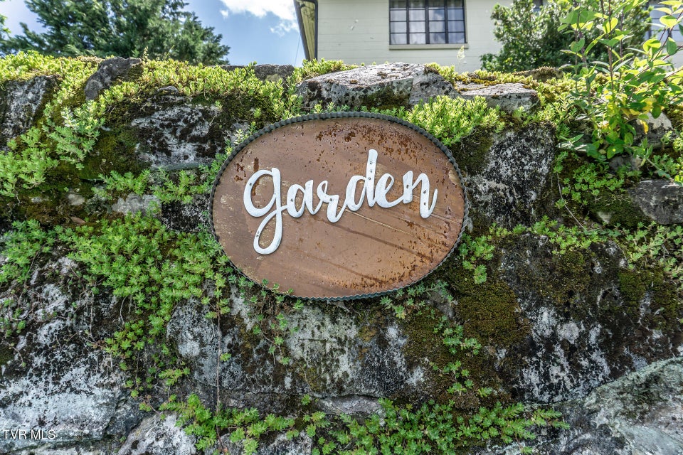 Photo #47: 205 Sevier Avenue