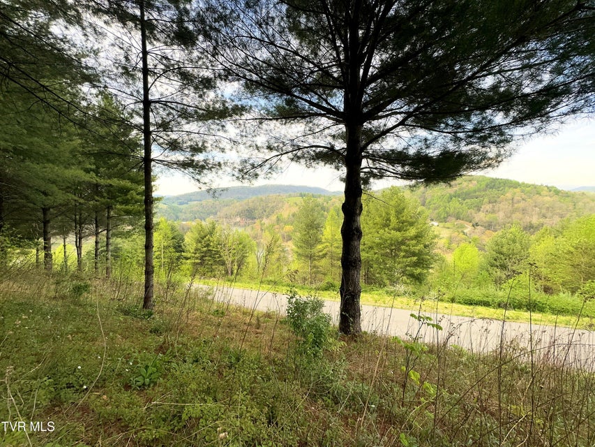 Photo #7: Lot 11 Cowan Town Road