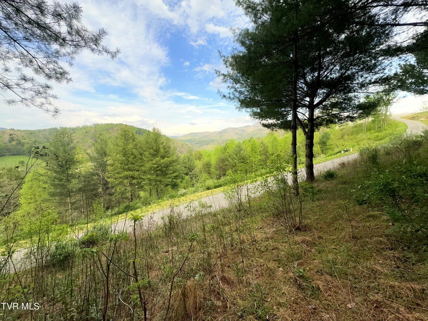 Photo #9: Lot 11 Cowan Town Road