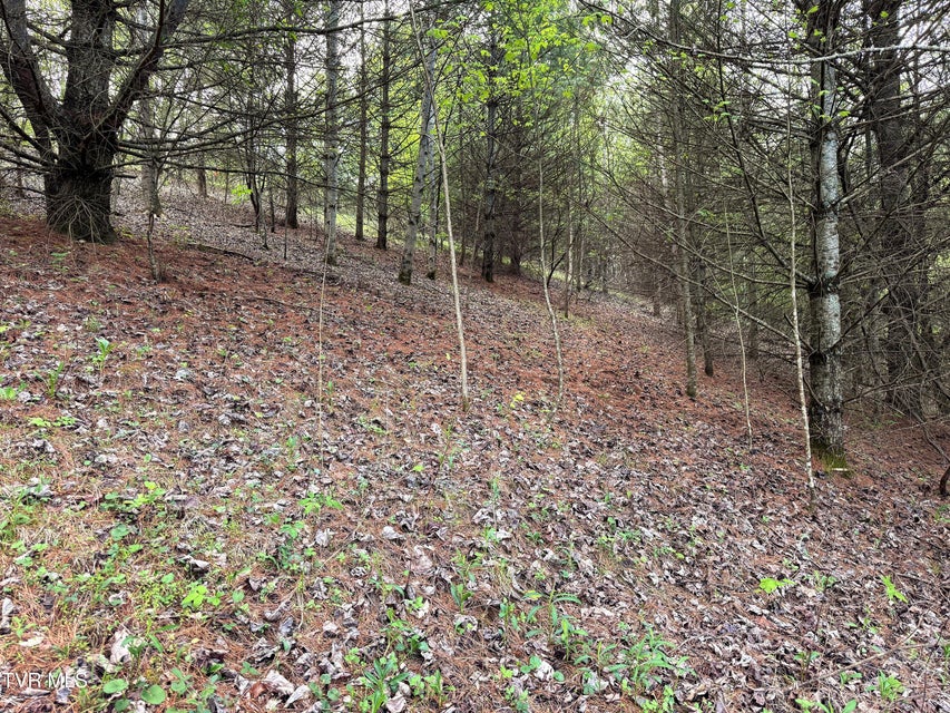 Photo #3: Lot 11 Cowan Town Road