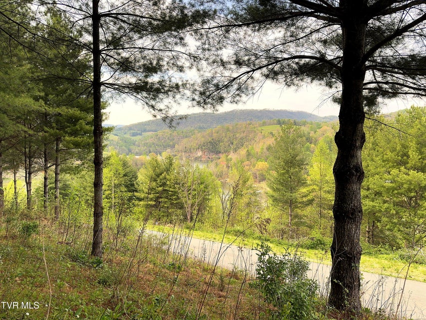 Photo #8: Lot 11 Cowan Town Road