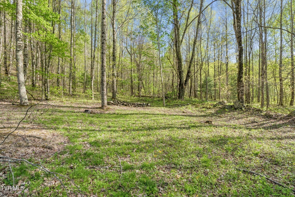 Photo #38: 2169 Rice Creek Road