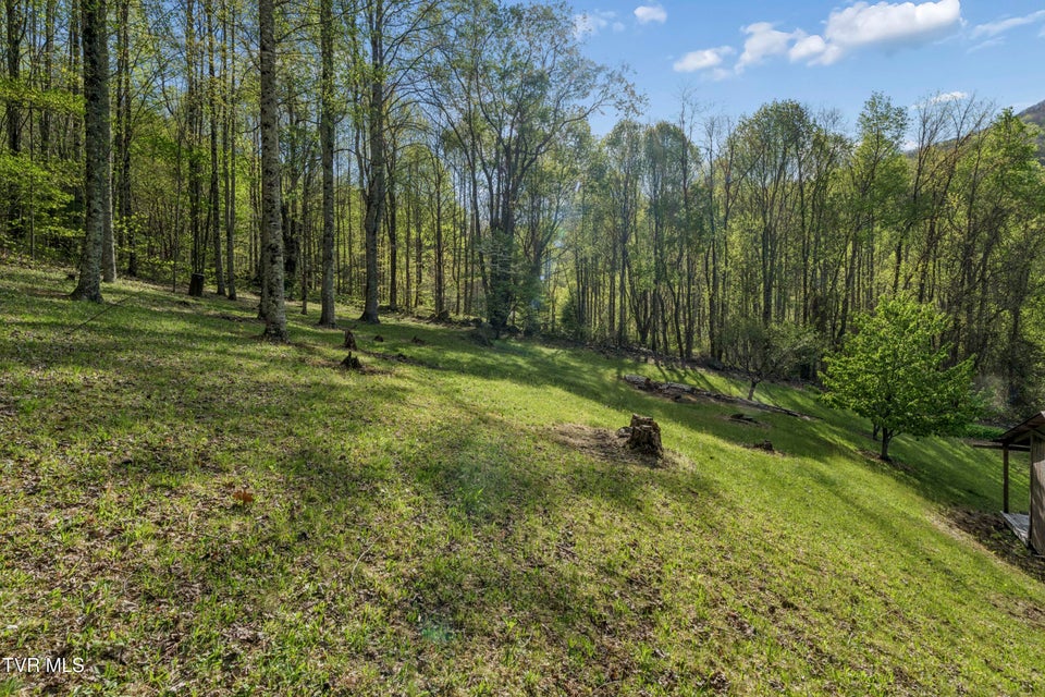 Photo #41: 2169 Rice Creek Road