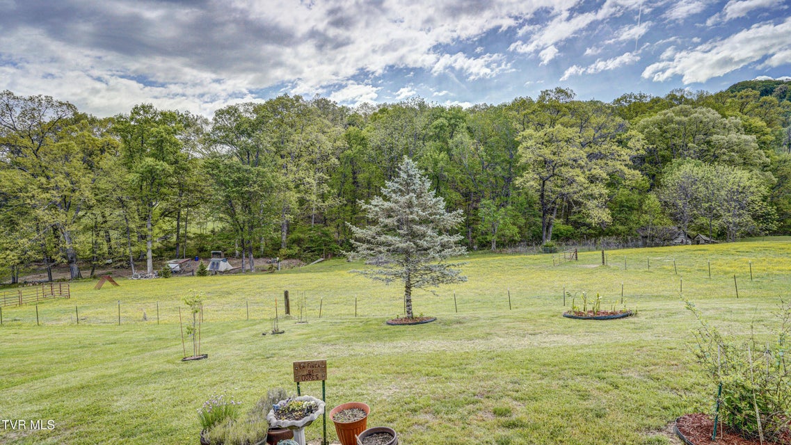 Photo #10: 2545 Siam Road