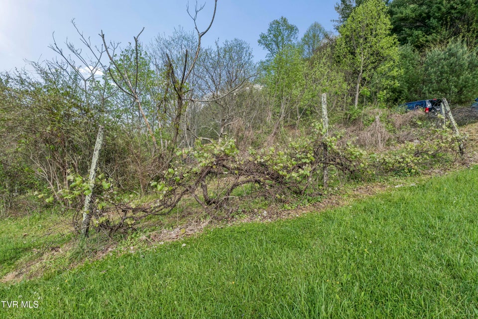 Photo #59: 2169 Rice Creek Road