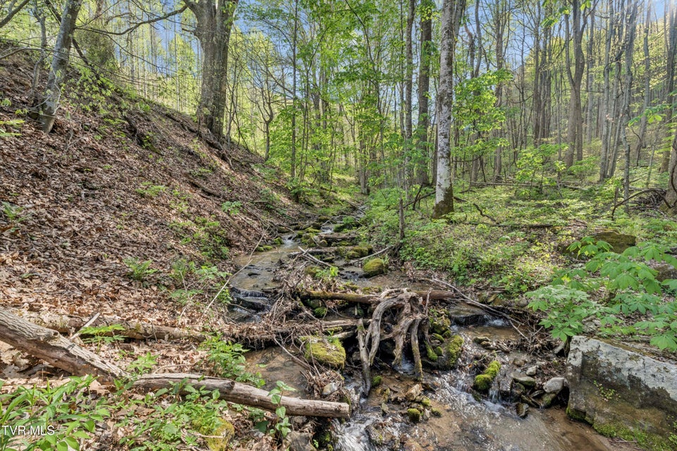 Photo #62: 2169 Rice Creek Road