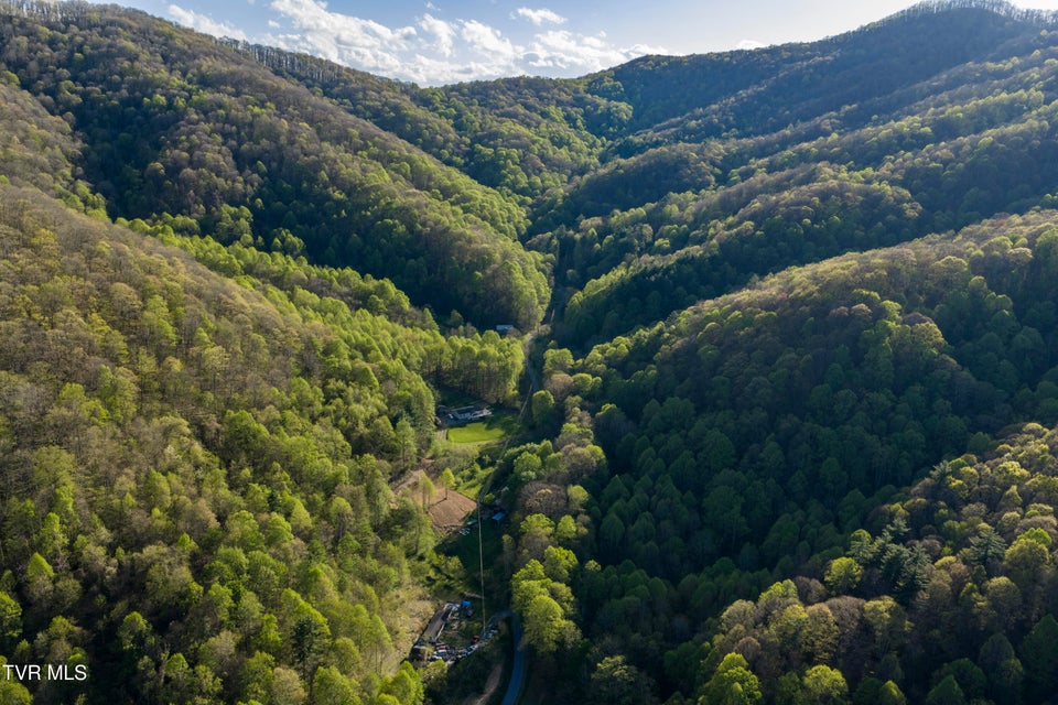 Photo #78: 2169 Rice Creek Road