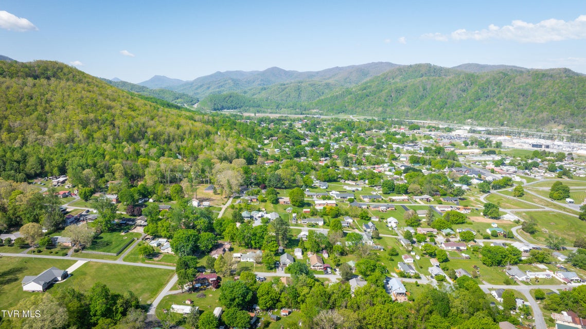 Photo #37: 154 Sycamore Street