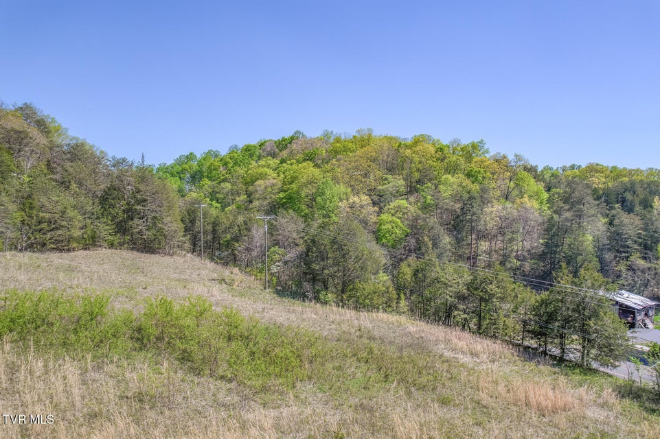 Photo #11: Tbd Shanks Gap Road