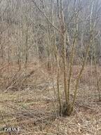 Photo #8: 792 Adria Road