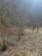 Photo #9: 792 Adria Road