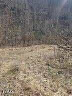 Photo #6: 792 Adria Road