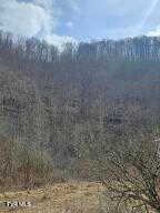 Photo #2: 792 Adria Road