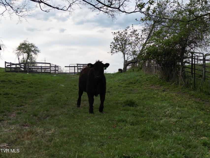 Photo #53: 15395 Old Jonesboro Road