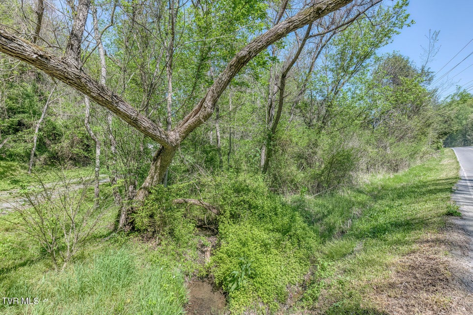 Photo #19: Tbd Shanks Gap Road