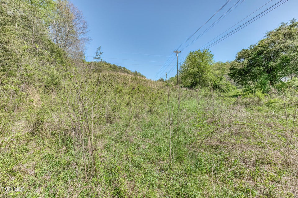 Photo #21: Tbd Shanks Gap Road