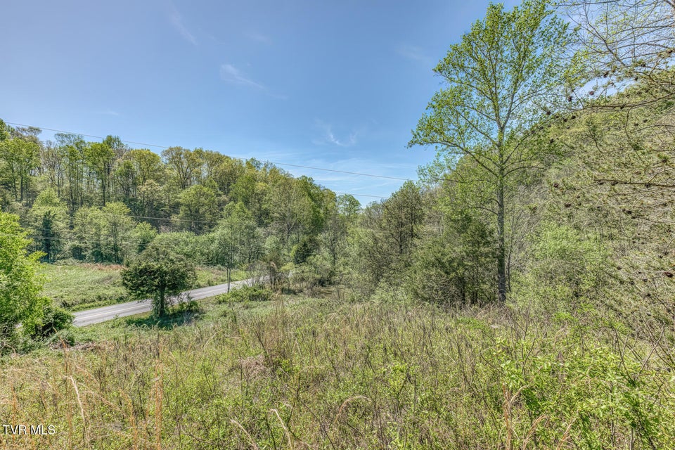 Photo #22: Tbd Shanks Gap Road