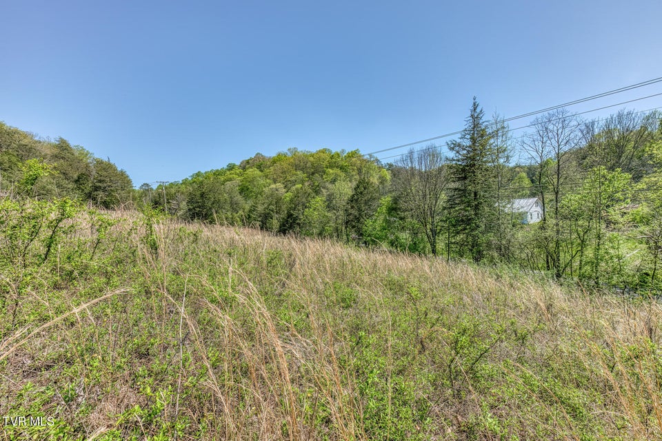Photo #23: Tbd Shanks Gap Road
