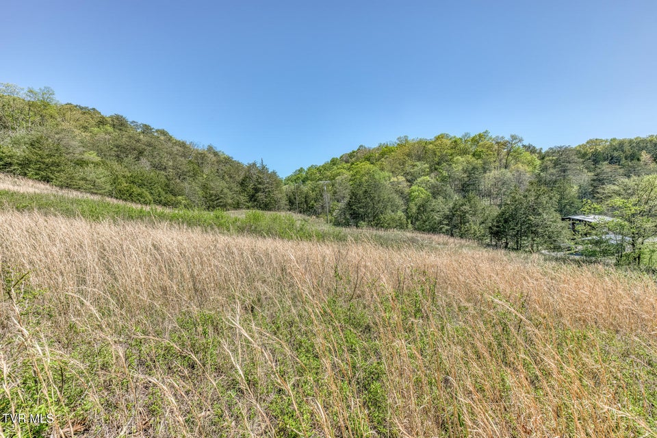 Photo #24: Tbd Shanks Gap Road