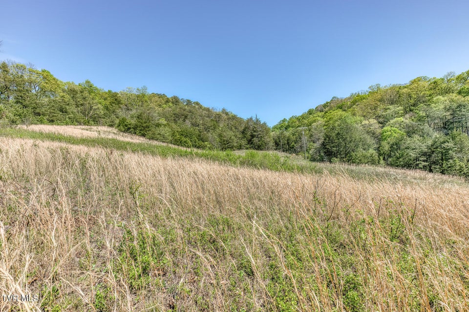 Photo #25: Tbd Shanks Gap Road