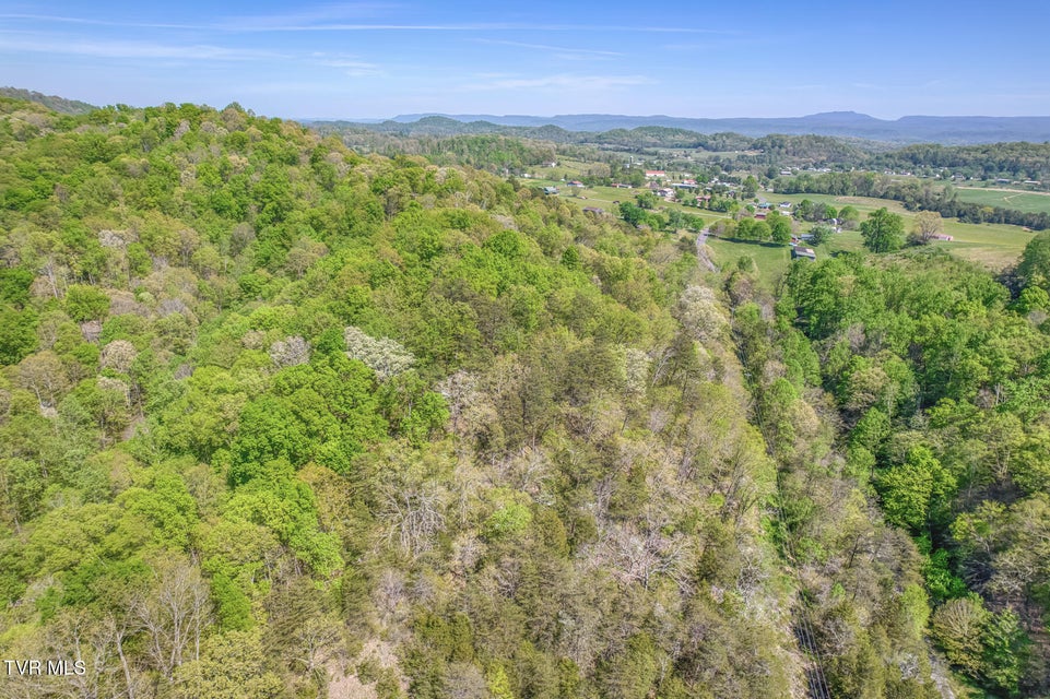 Photo #29: Tbd Shanks Gap Road