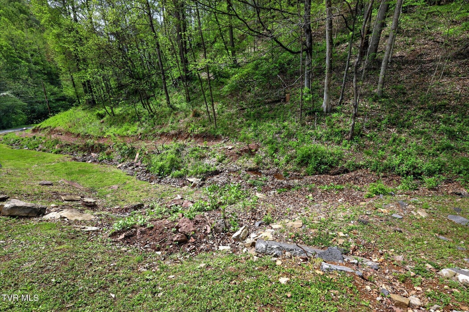 Photo #36: 603 Blue Springs Road