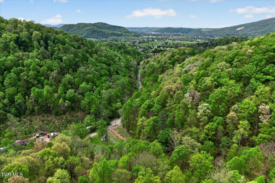 Photo #38: 603 Blue Springs Road