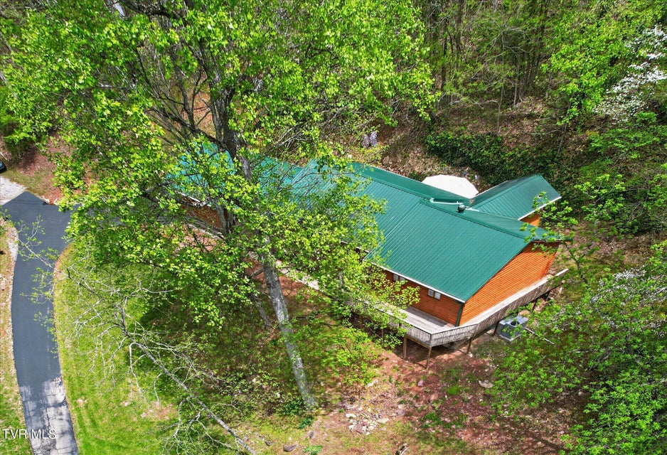 Photo #41: 603 Blue Springs Road