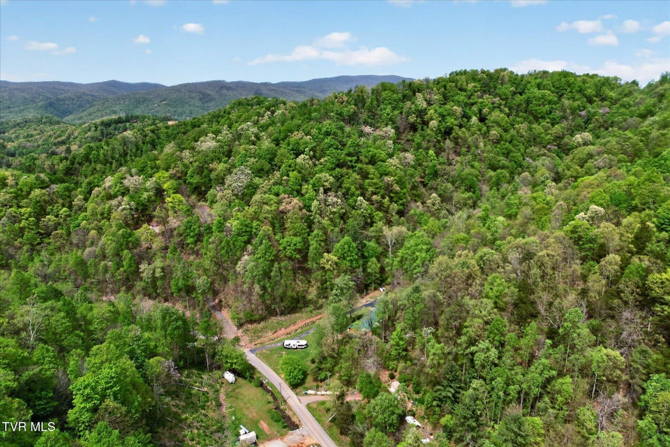 Photo #51: 603 Blue Springs Road