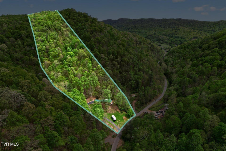 Photo #58: 603 Blue Springs Road