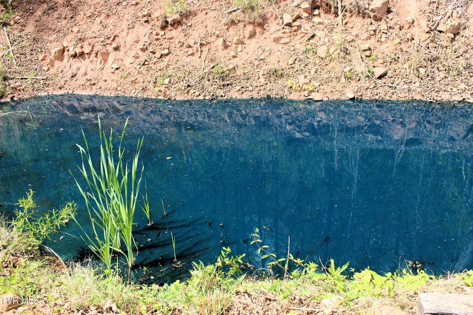 Photo #79: 2193 Burem Road