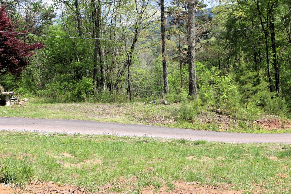 Photo #87: 2193 Burem Road