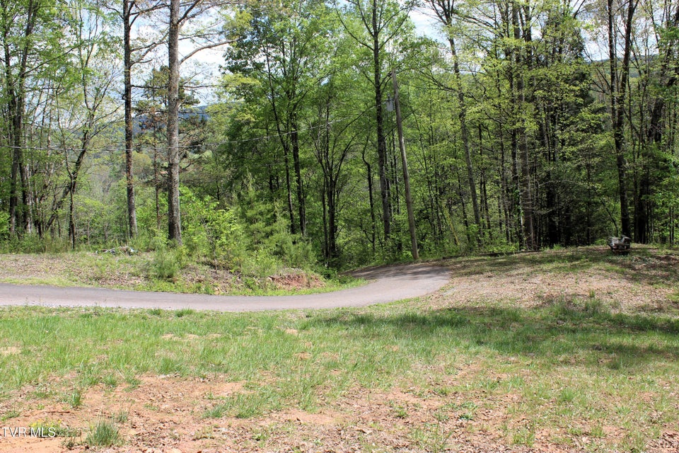 Photo #88: 2193 Burem Road