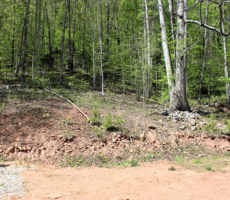 Photo #90: 2193 Burem Road