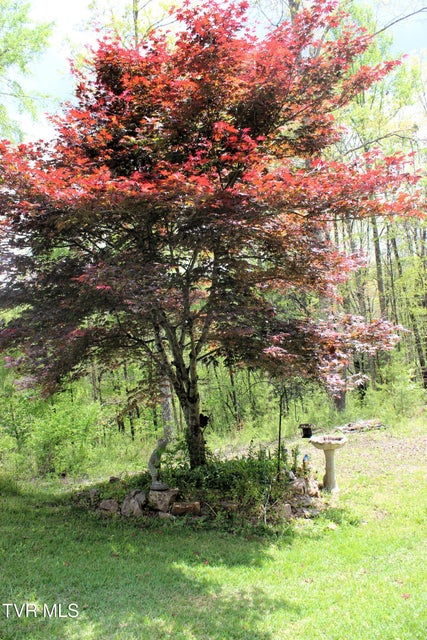 Photo #91: 2193 Burem Road