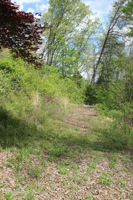 Photo #92: 2193 Burem Road