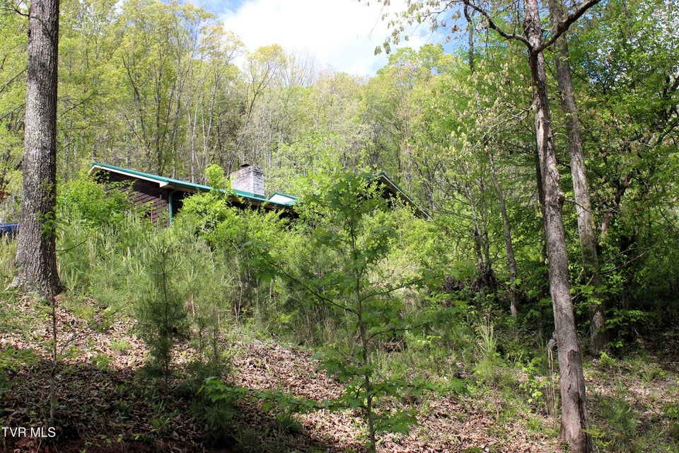 Photo #94: 2193 Burem Road