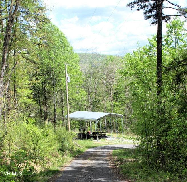 Photo #7: 2193 Burem Road