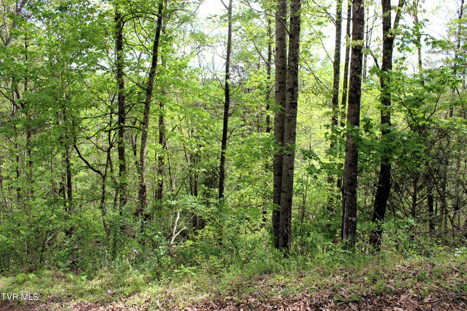 Photo #95: 2193 Burem Road