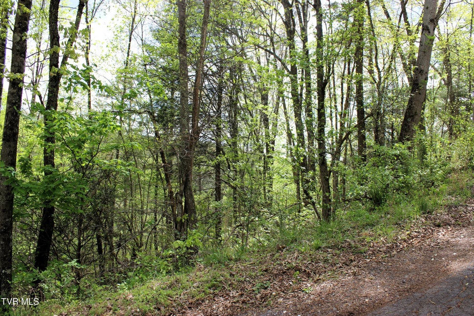 Photo #6: 2193 Burem Road