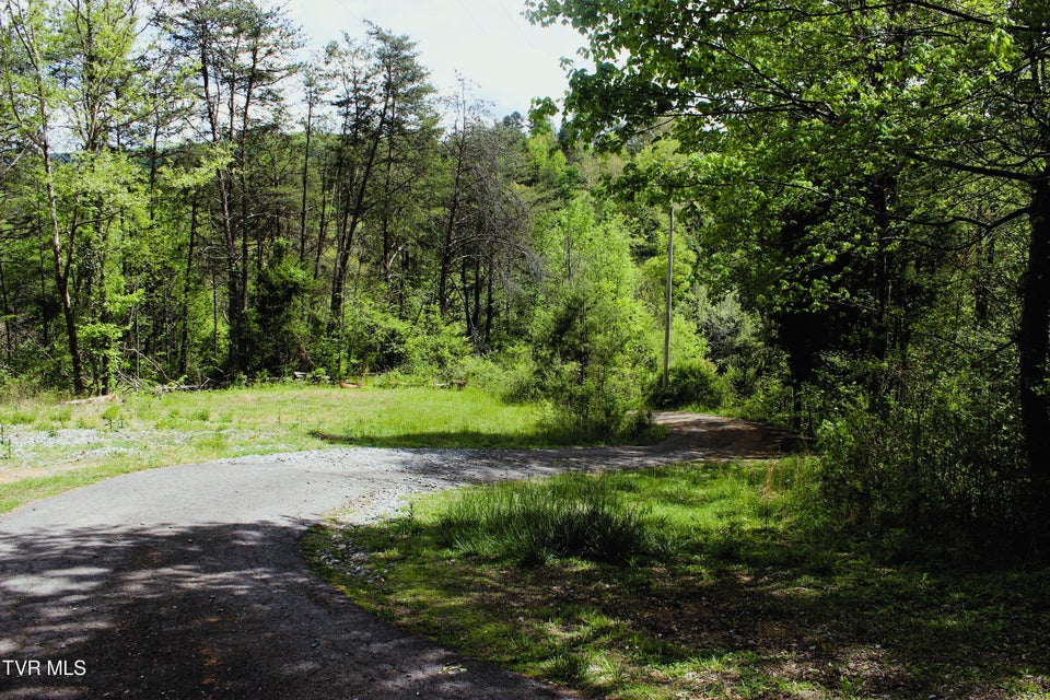 Photo #11: 2193 Burem Road