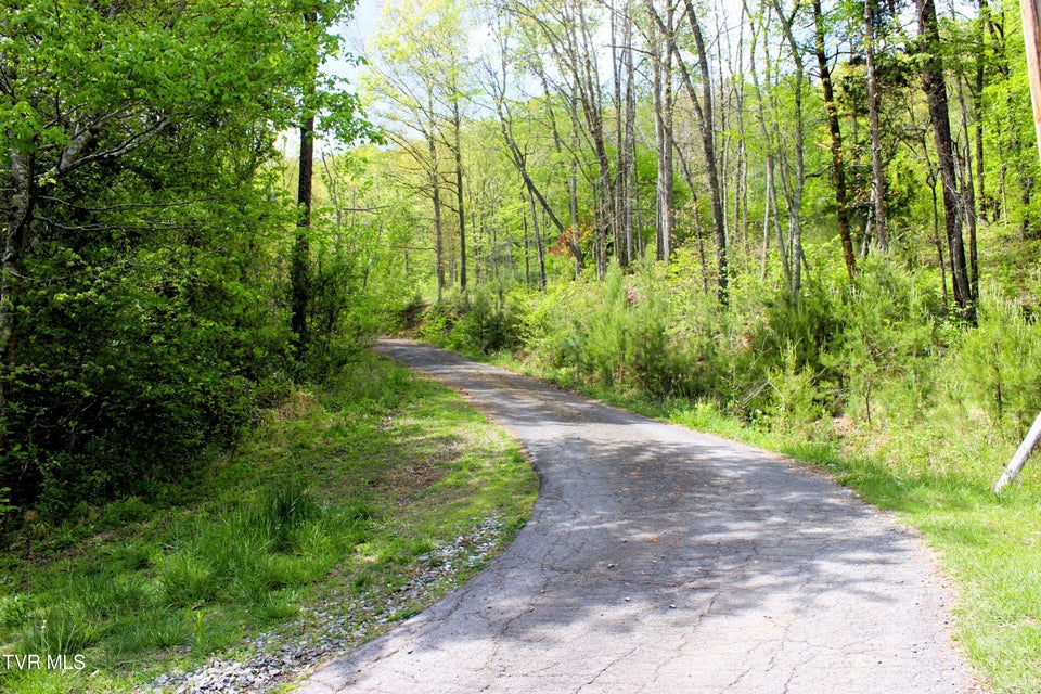 Photo #4: 2193 Burem Road