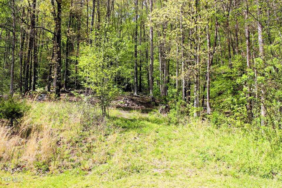 Photo #96: 2193 Burem Road