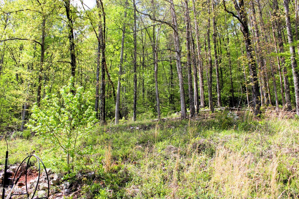 Photo #97: 2193 Burem Road