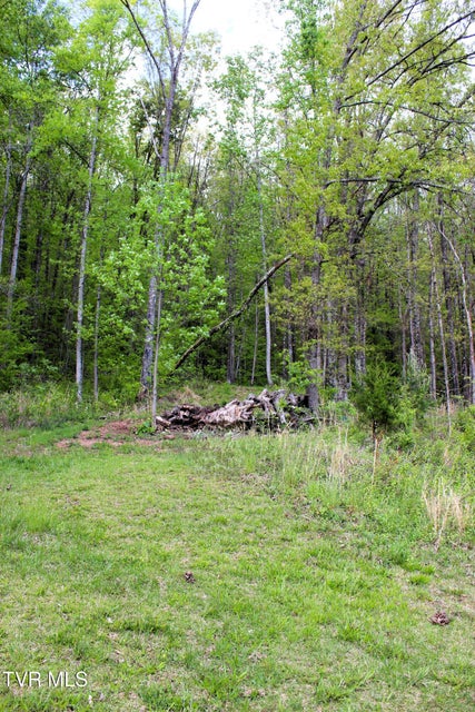 Photo #98: 2193 Burem Road