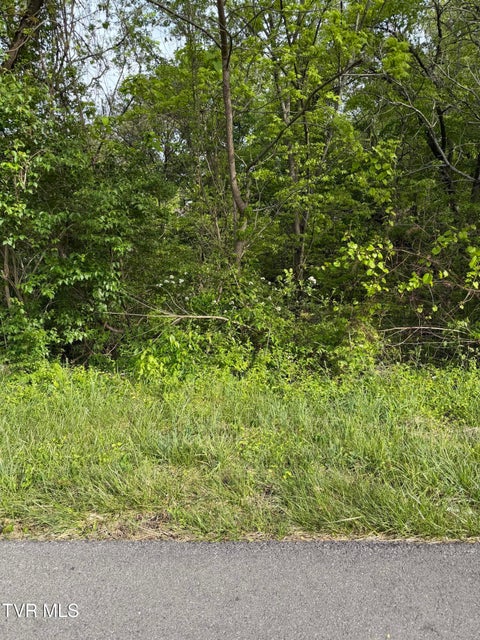 Photo #2: 1725 Reedy Creek Road