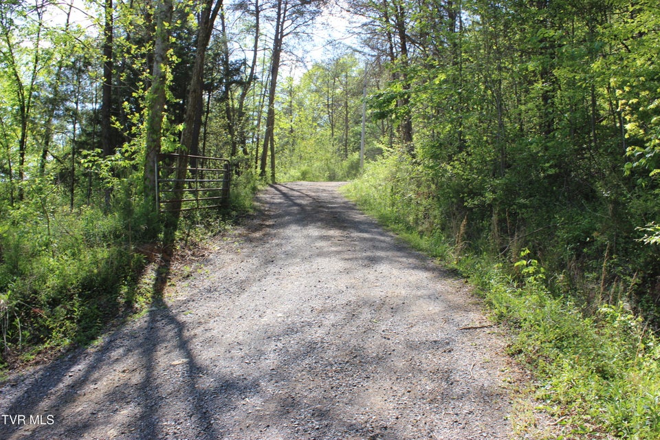 Photo #2: 2193 Burem Road