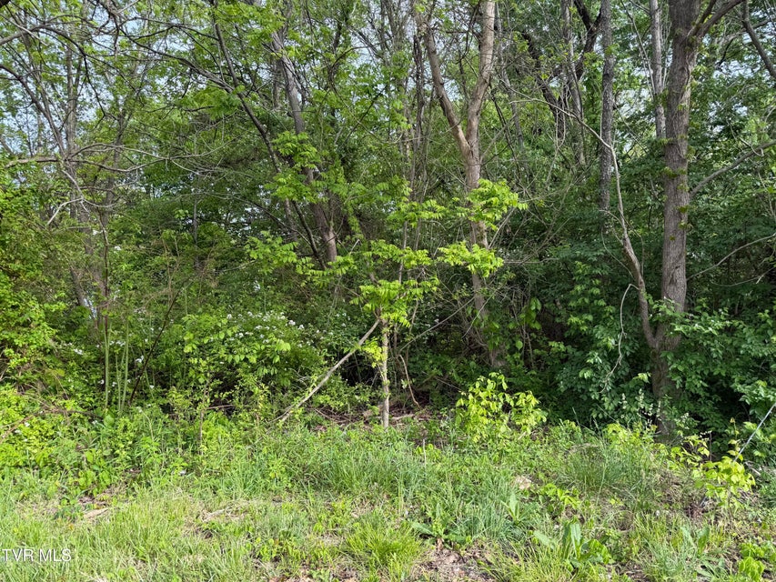 Photo #2: Tbd Reedy Creek Road